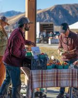 Future Roots festival celebrates spring