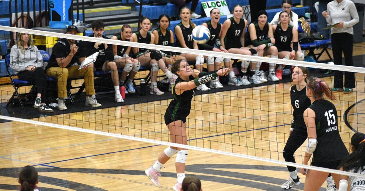 Wolverines volleyball sweeps Vallivue to advance at state