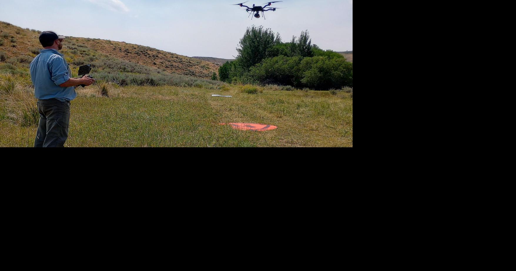Scientists to fly drone to reseed Glendale Fire burn area
