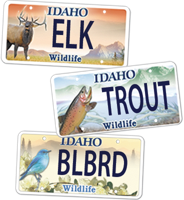 Group seeking new wildlife license-plate designs
