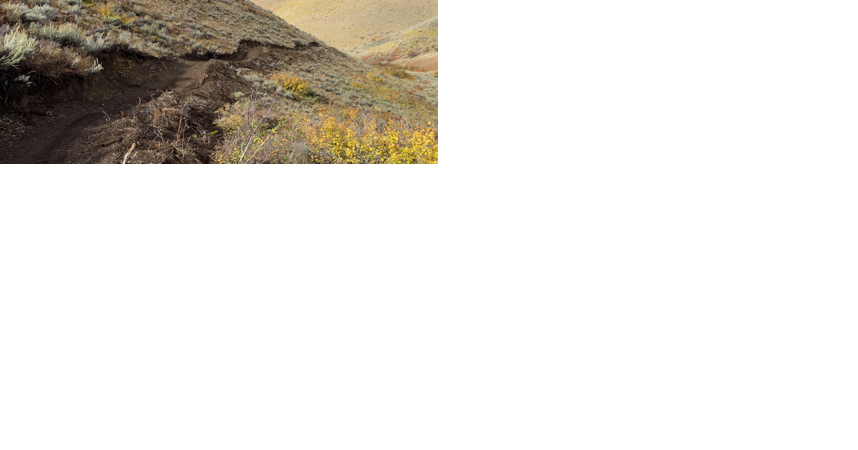 BLM, Hailey cut ribbon on new trail out Olympia Gulch - Vimarsana News