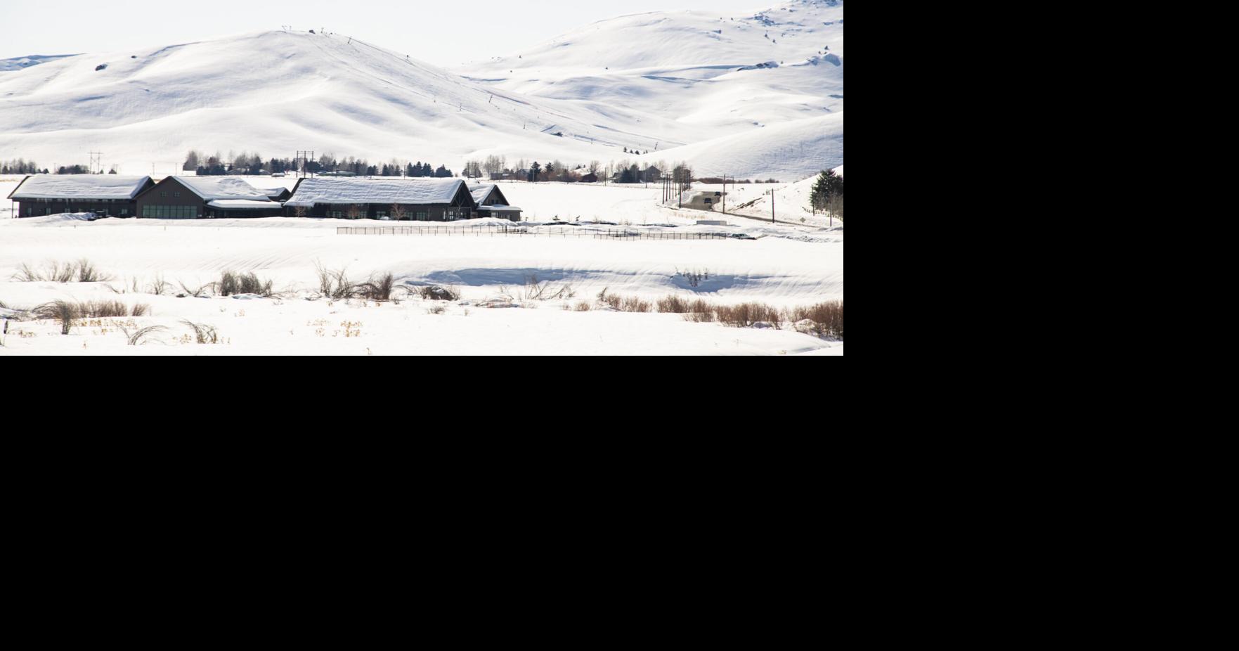 Mountain Humane medical fund has one week to unlock $50,000 donation ...