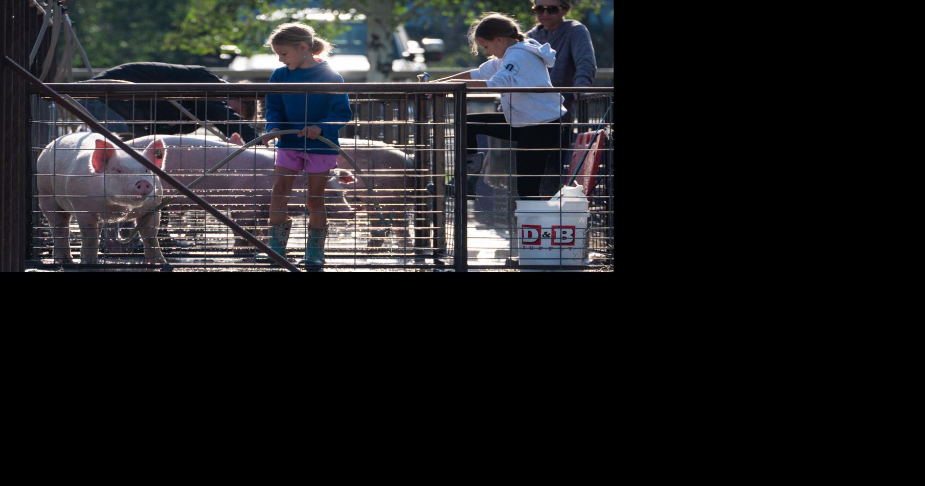 Blaine County Fair is on through Saturday evening in Carey