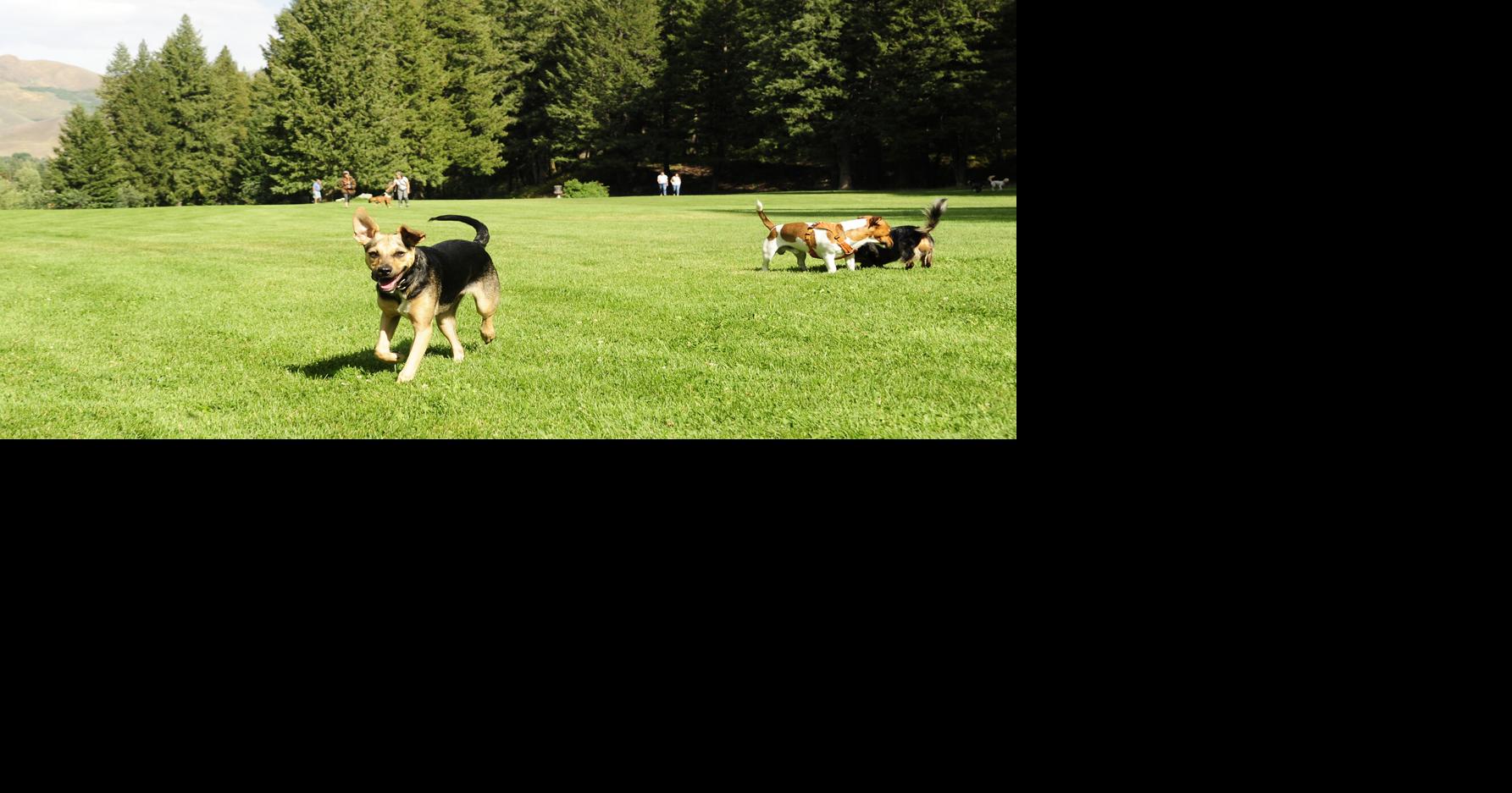 Ketchum approves Warm Springs Preserve master plan Ketchum