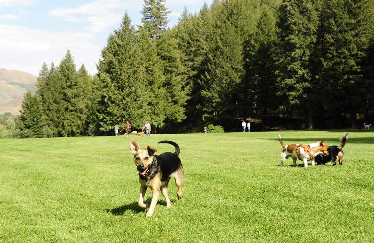 Warm Springs Preserve plans move forward Ketchum