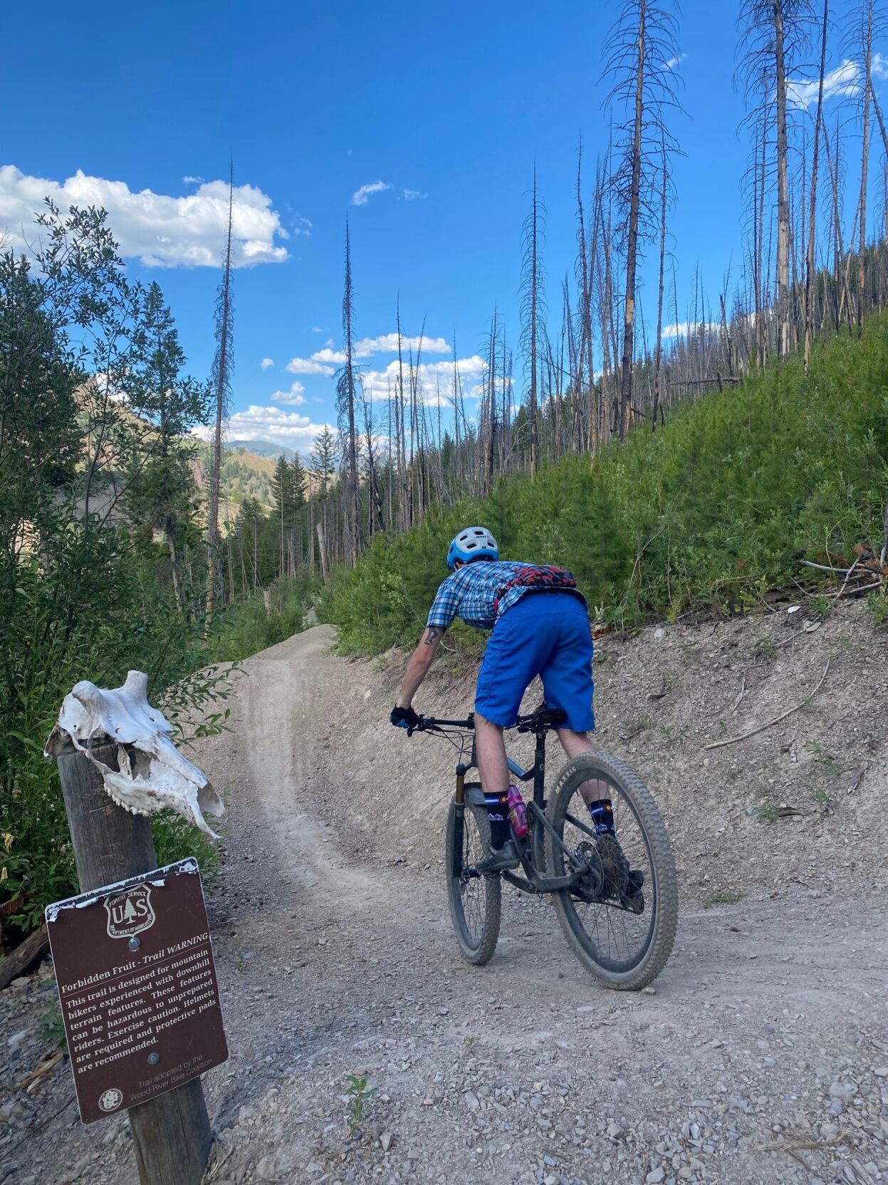Adams Gulch trailhead and trail closures start Sept. 26 Recreation