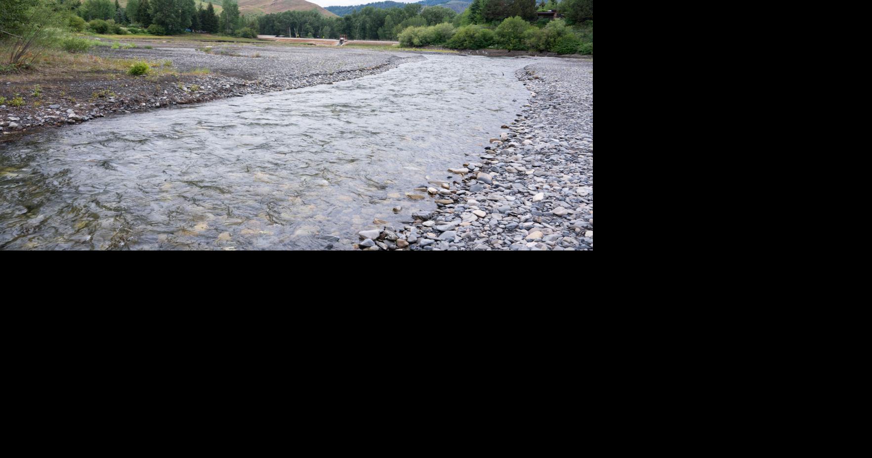 A Rivulet Runs Through It