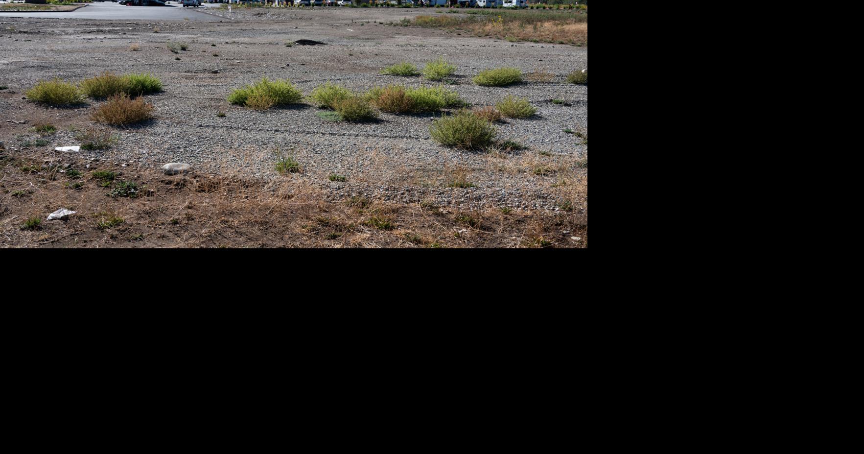 Bellevue approves Karl Malone parking lot