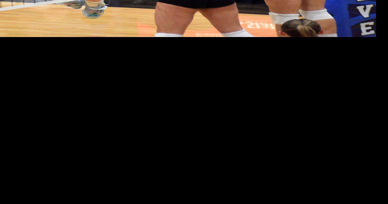 Wolverines go 1-2 at state volleyball tourney