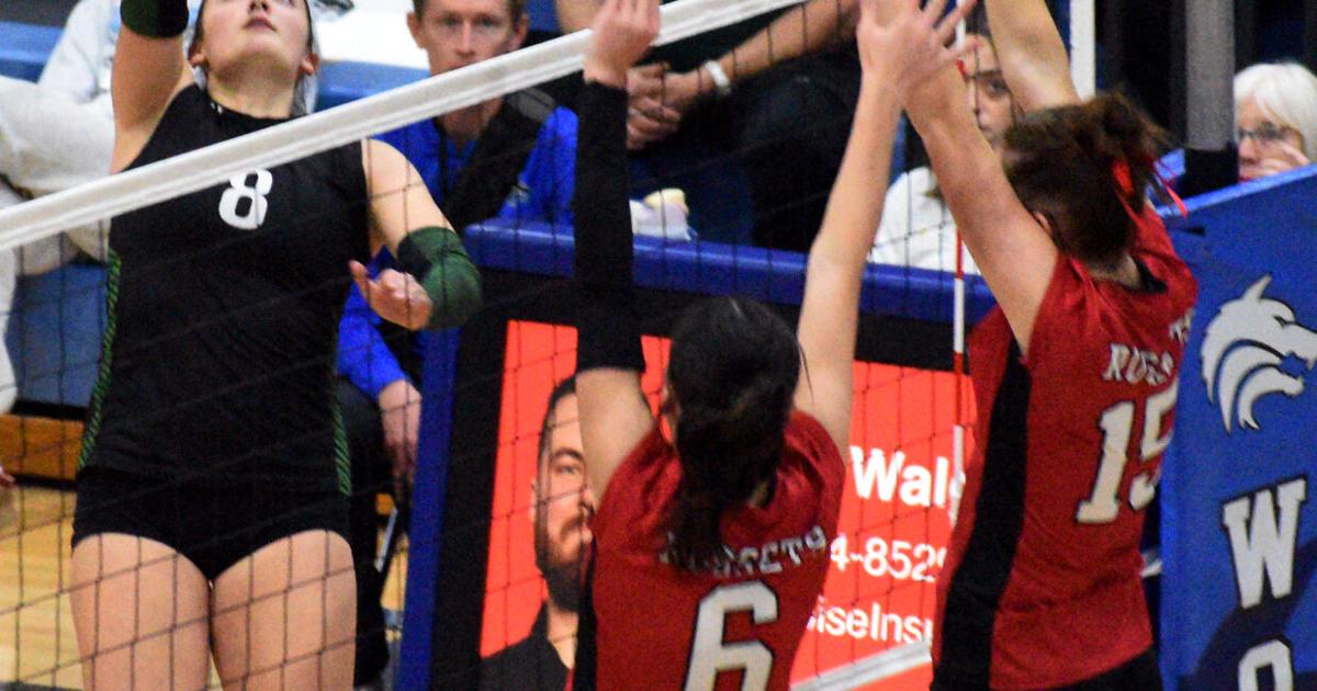 Wolverines go 1-2 at state volleyball tourney