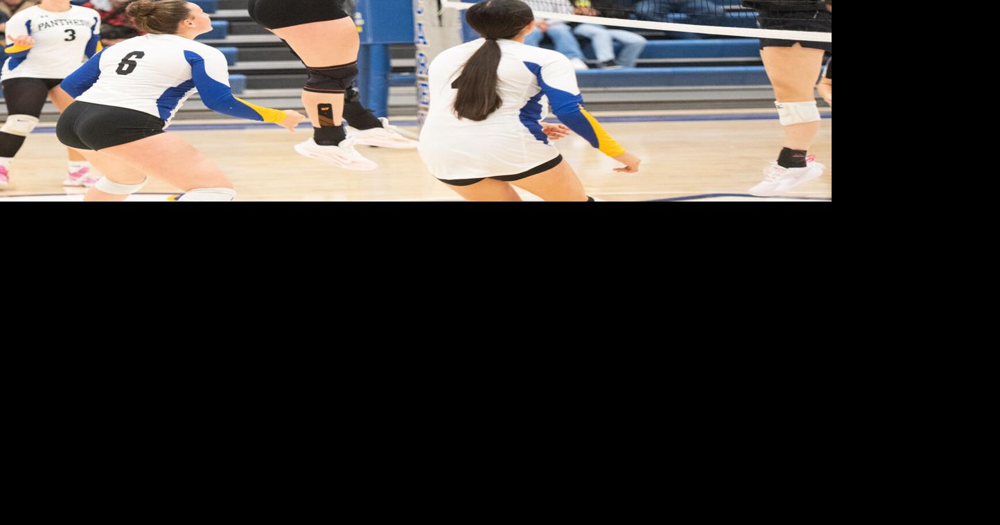 Carey finishes 1-2 at 1A state volleyball tournament