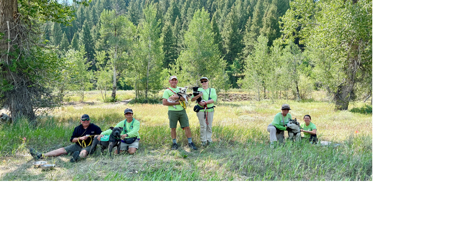 Mountain Humane puts dogs on the trail to meet their forever families ...
