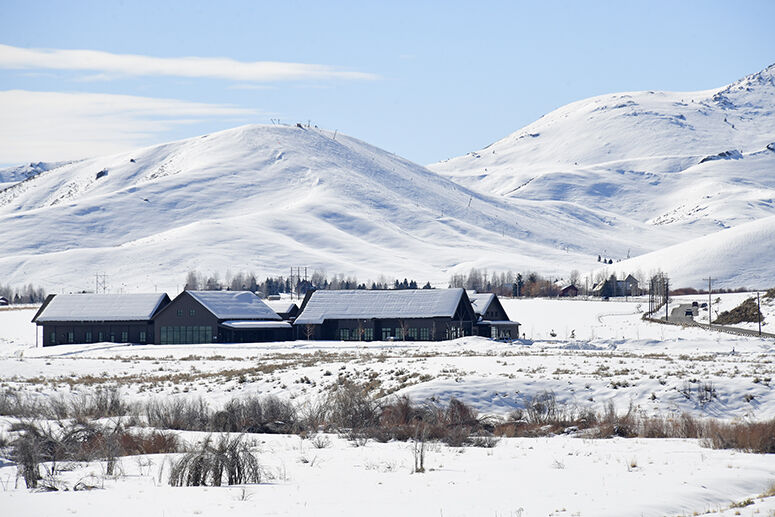 The Staff Archives - Mountain Humane