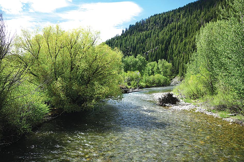 Trout Unlimited pitches vision for Big Wood River - Idaho Mountain Express and Guide