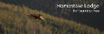 Homestake Lodge.llc