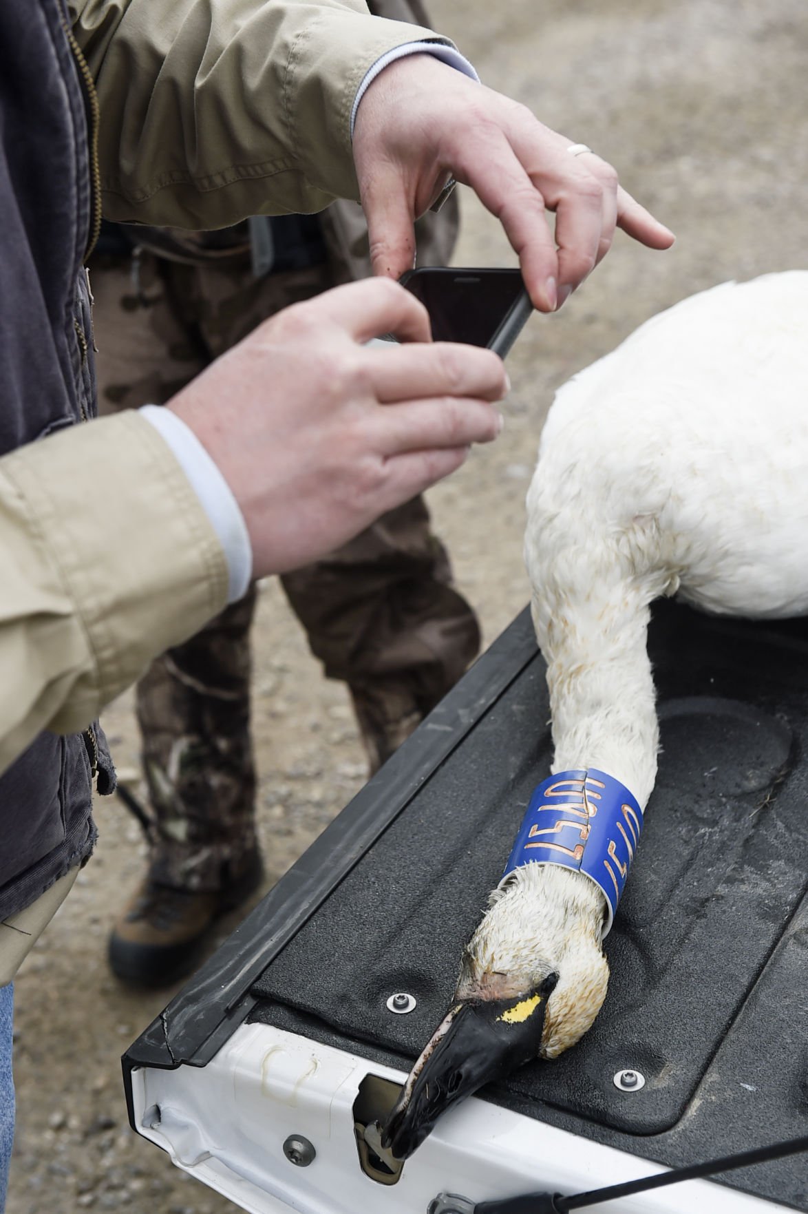 Warm Weather Hampers Most Hunters But A Few Are Finding Success State Regional Mtstandard Com