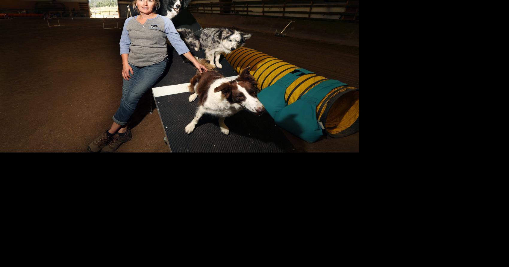 From papillons to pit bulls Butte dog agility competition celebrates