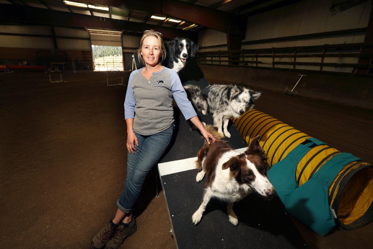 Fifth annual dog agility competition takes place Labor Day weekend in Butte