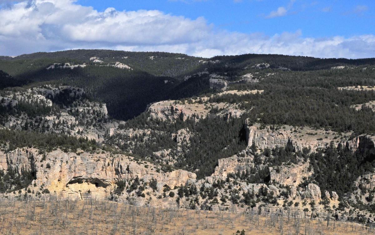 Pryor Mountains drive photos Outdoors