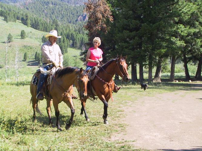 Along for the Ride: INL employee uses endurance equine racing to explore  the great outdoors - East Idaho News