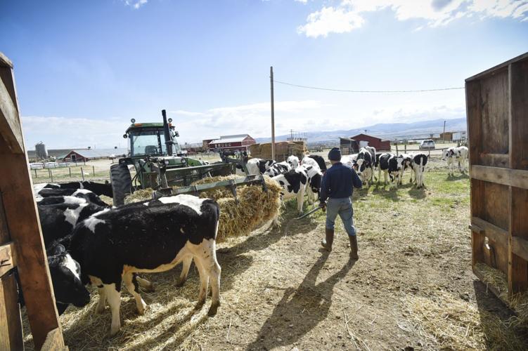 Inmate Tyler Kortan walks back to a tractor