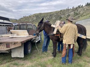 Several monuments replaced in honor of Mann Gulch smokejumpers