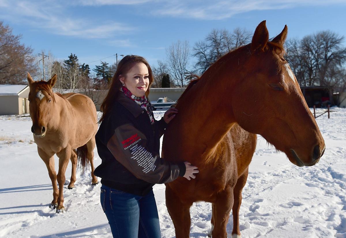 Rustled Horse Turns Up At Billings Motel After Facebook