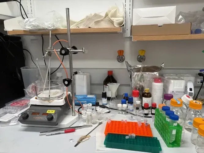 Researchers say the Trump administration is finding new ways to punish science