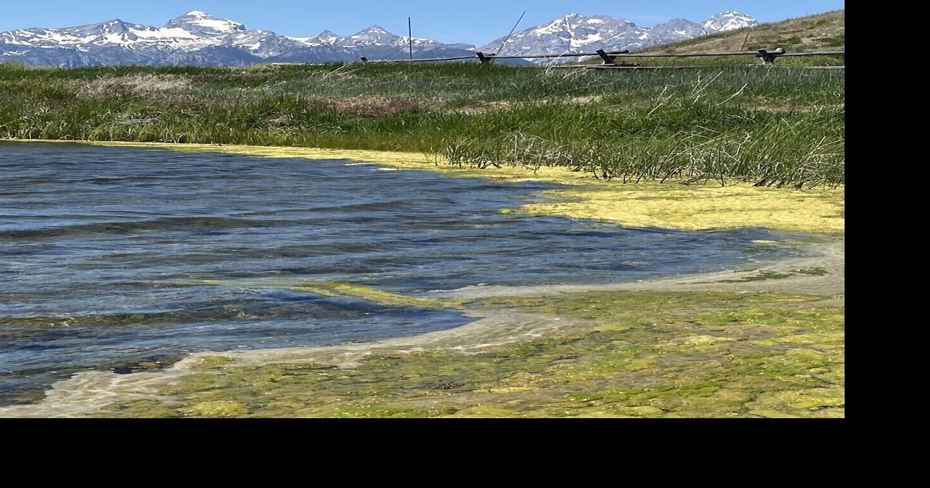 Touring the Tetons: Route through Yellowstone to Idaho, Jackson and back offers variety