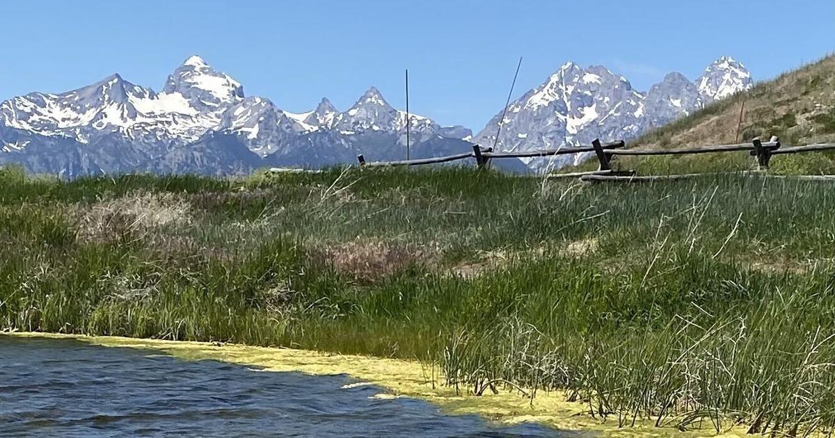 Touring the Tetons: Route through Yellowstone to Idaho, Jackson and back offers variety