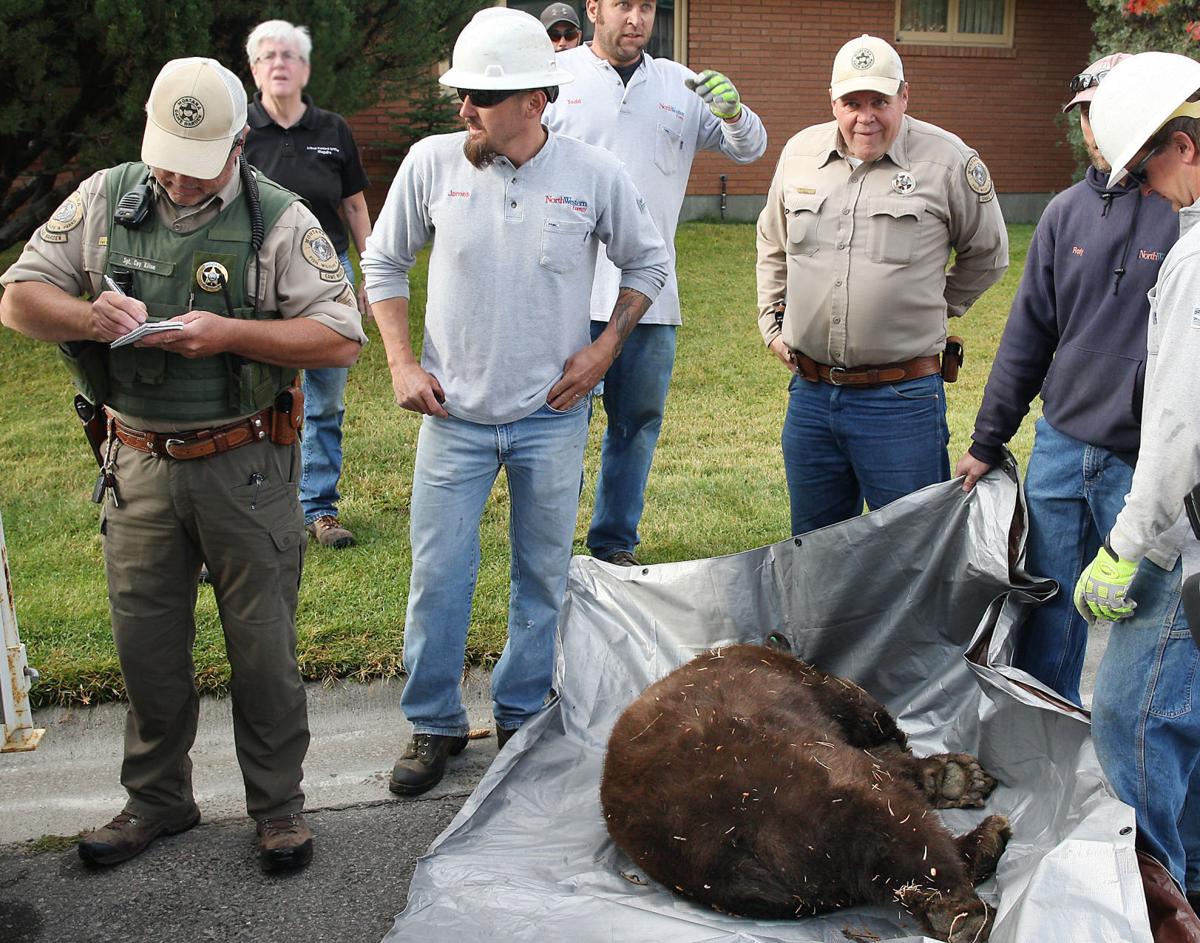 career of a game warden career of a game warden