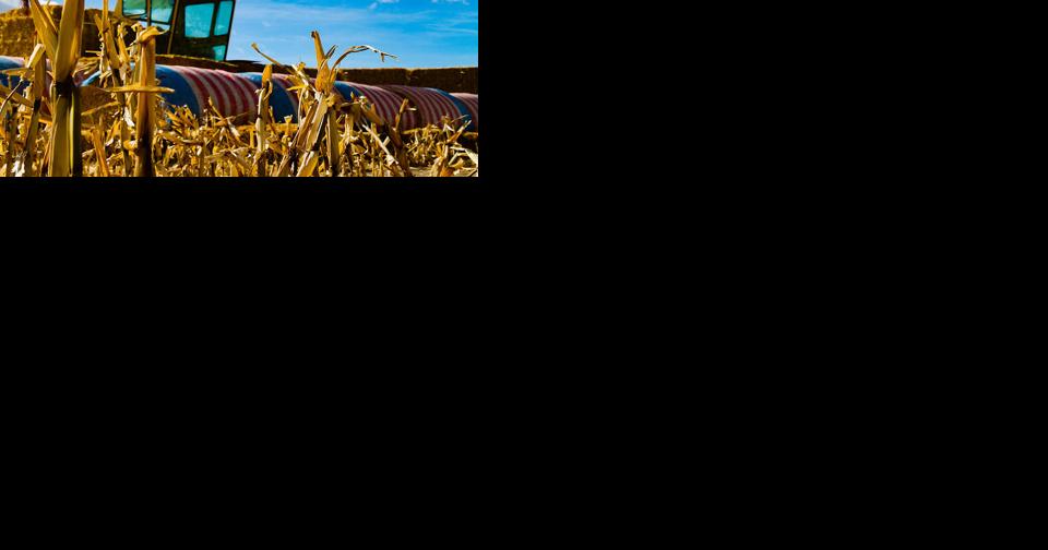 Lots of spooky events on tap - Vimarsana News