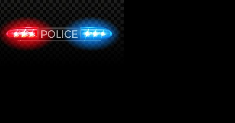 Police blotter: Attempted bite; Carrying a pistol; more - Vimarsana News