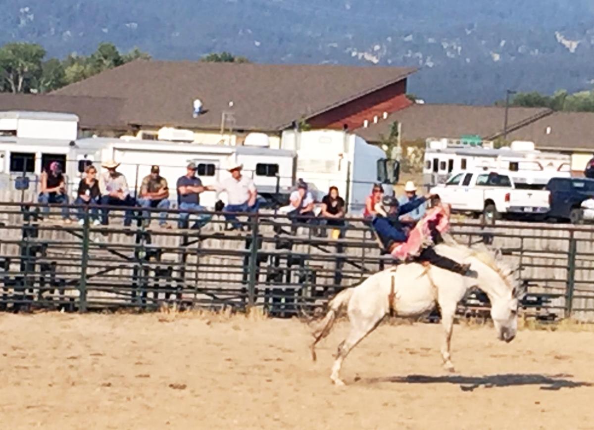 Jefferson County's annual fair to bring rodeo, carousel, animals and