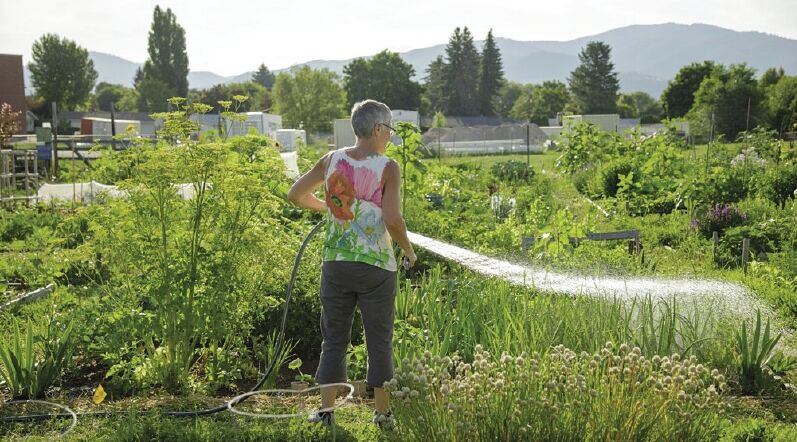 Garden City Harvest food security project