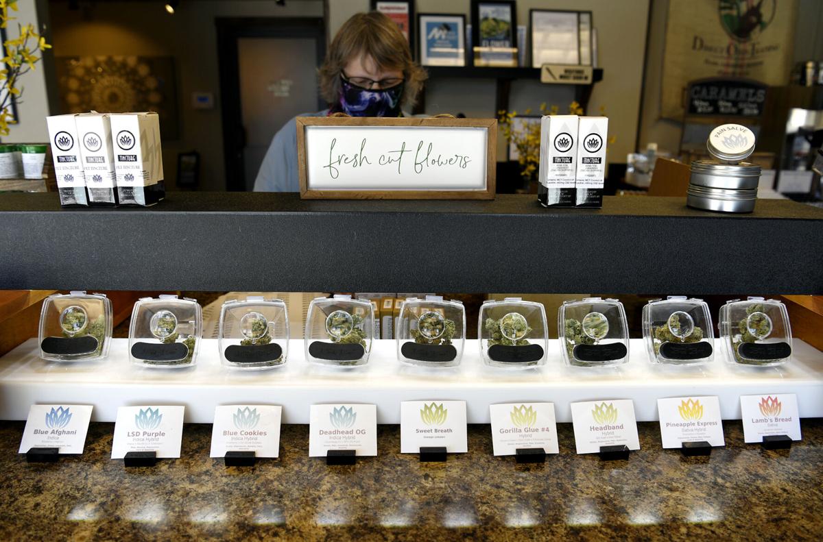 Marijuana Initiative Economics (copy)