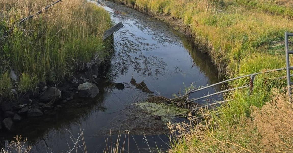 Judge bars major irrigator on Clark Fork from diverting water when river flow drops