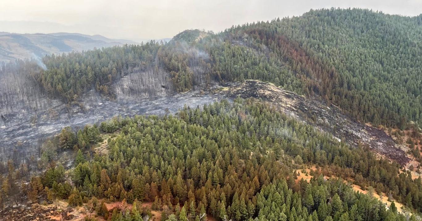 Wildfire near Cardwell subsides - Vimarsana News