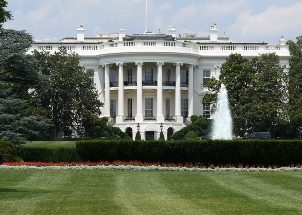 Question #15: Who is in charge of the executive branch?