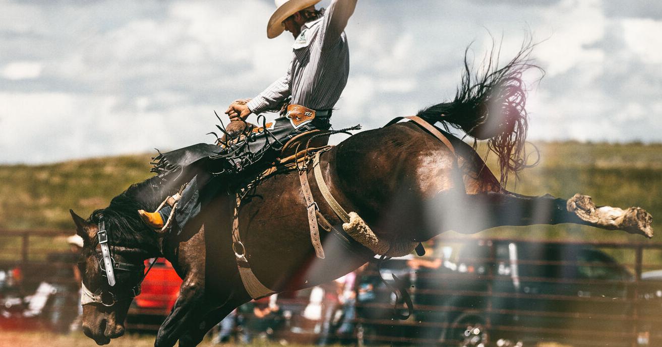 PRCA rodeo coming to Butte in August - Vimarsana News