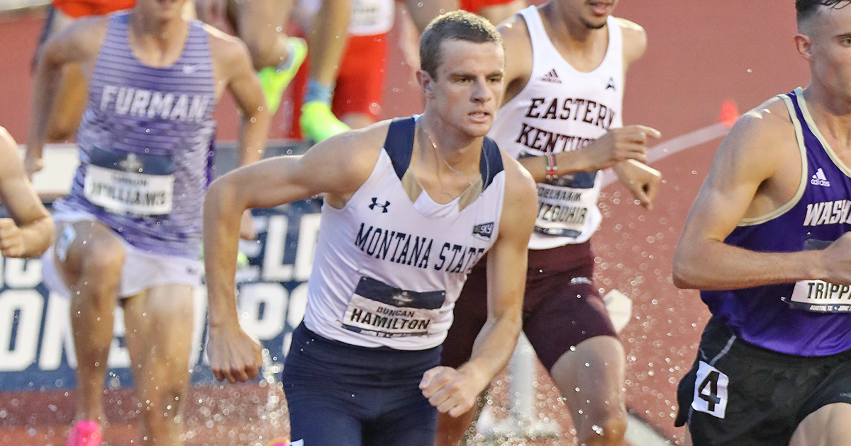 Montana State’s Duncan Hamilton takes 2nd in NCAA steeplechase final for 2nd straight year