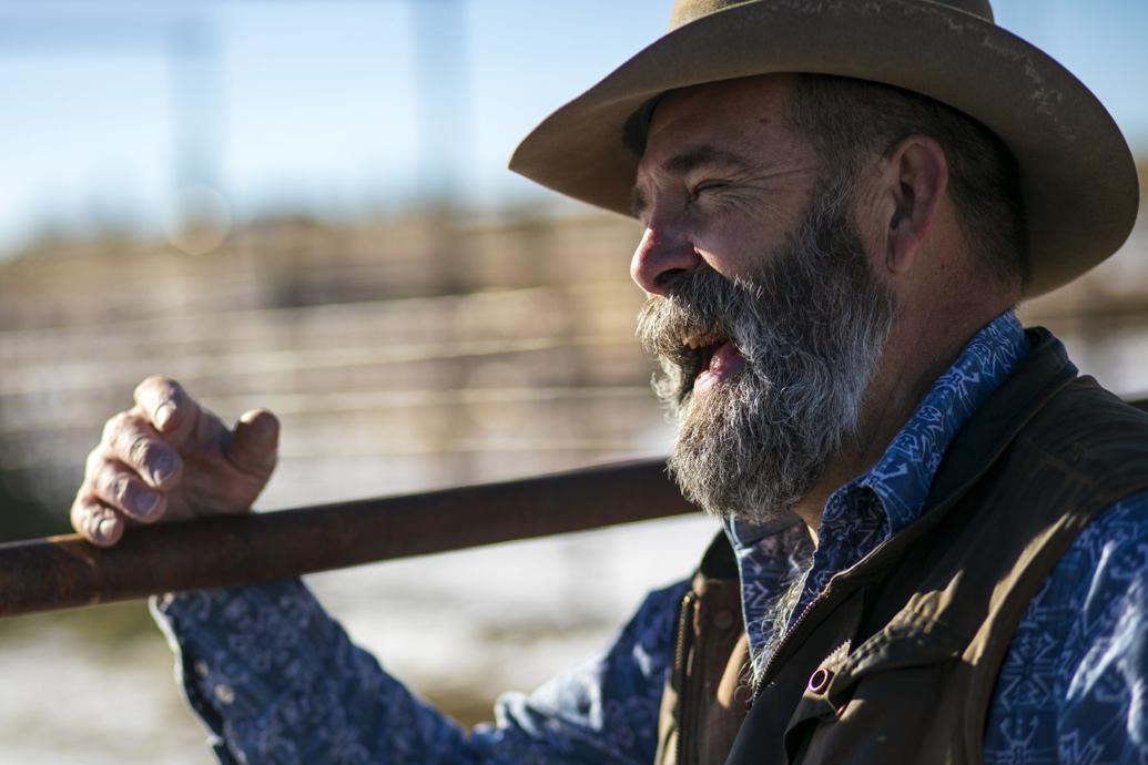 Pandemic pushes Ryegate horse trainer online to virtual audience