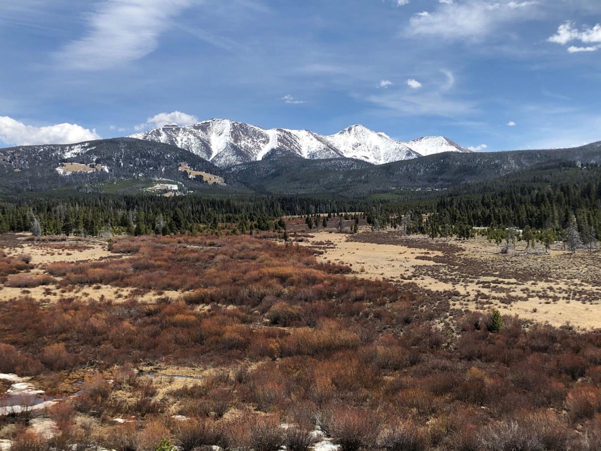 Moose Creek Headwaters property