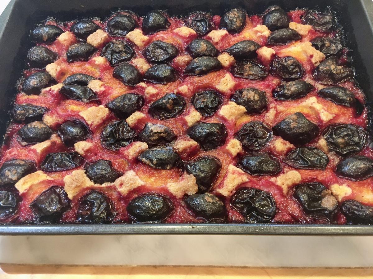 Plum Kuchen In The Oven Food Cooking Mtstandardcom Plum Kuchen In The Oven Food Cooking Mtstandardcom