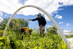 So hard, so worth it: Young farmers around Missoula finding footing in an aging industry