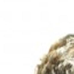 Baucus Hails Health Care Bill Local Mtstandard Com