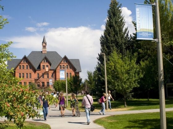 Montana State invites community to share feedback on proposed projects to include in new strategic plan