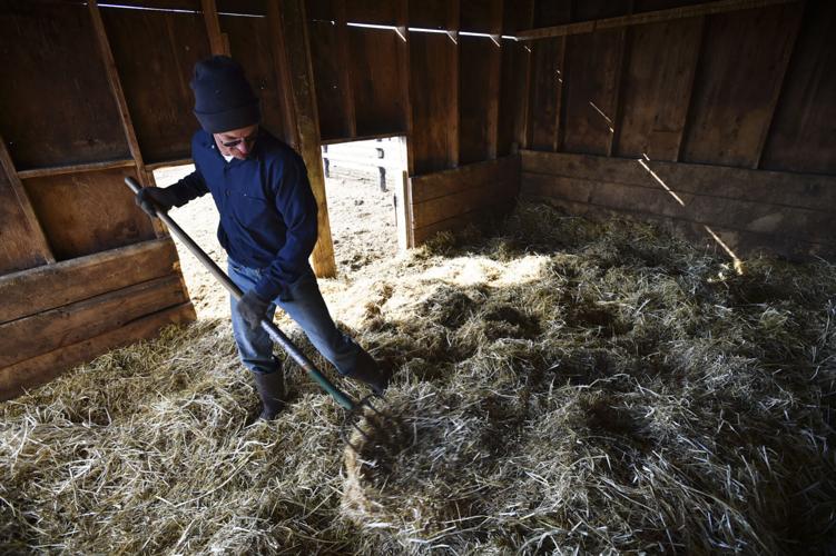 Inmate Tyler Kortan rakes out fresh bedding