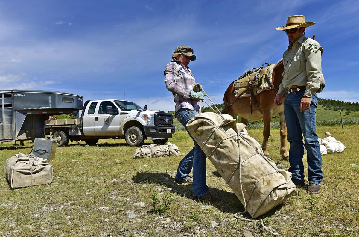Learning the ropes Novice mule packer puts training to work State