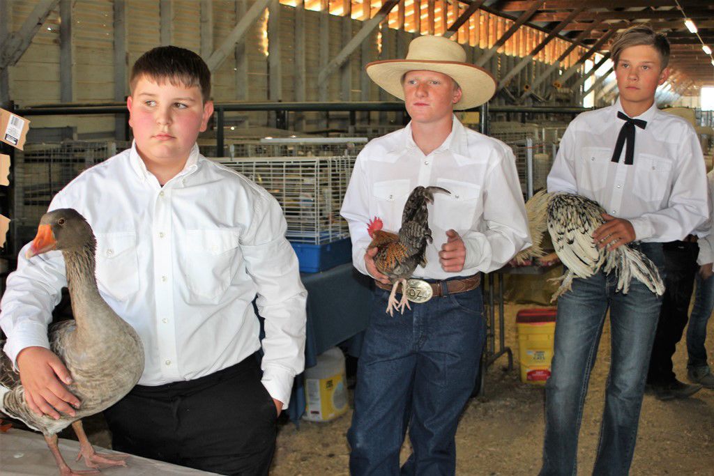 TriCounty Fair opens in Deer Lodge